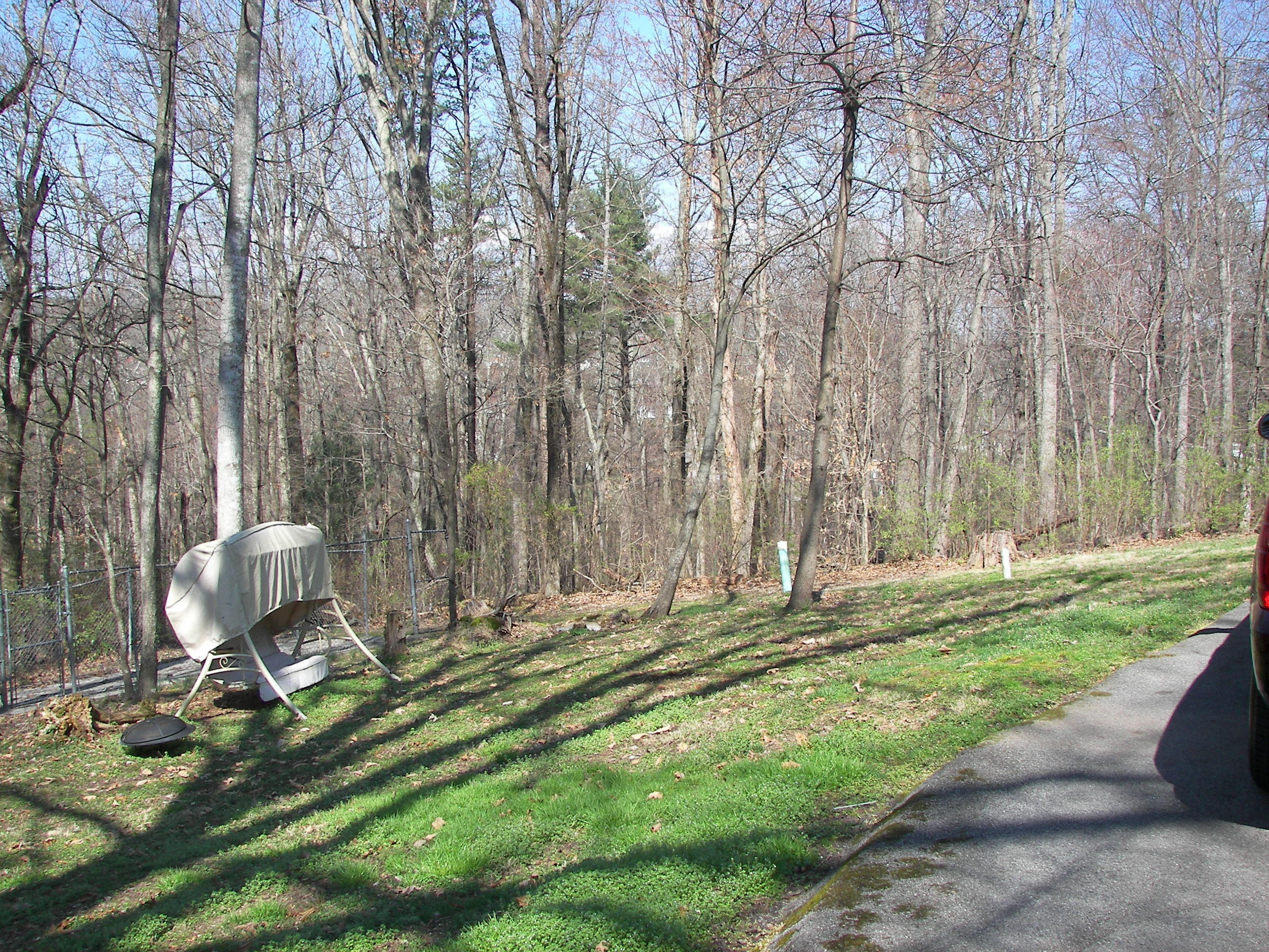 7941 Blueberry Road Powell, TN 37849 - Photo 3 of 20 102_3401.JPG