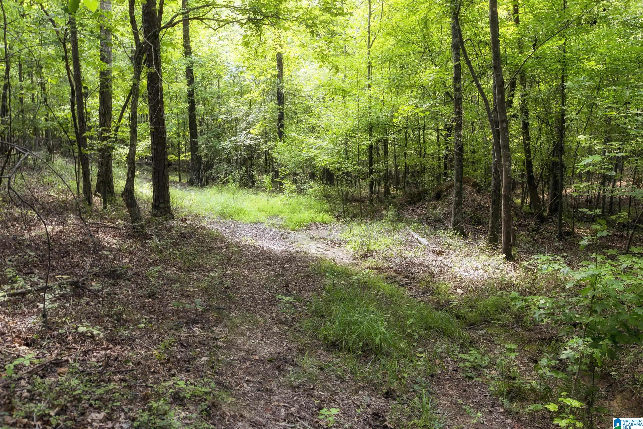 8532 Shady Trail, Unit 401 Helena, AL 35022 - Photo 5 of 25
