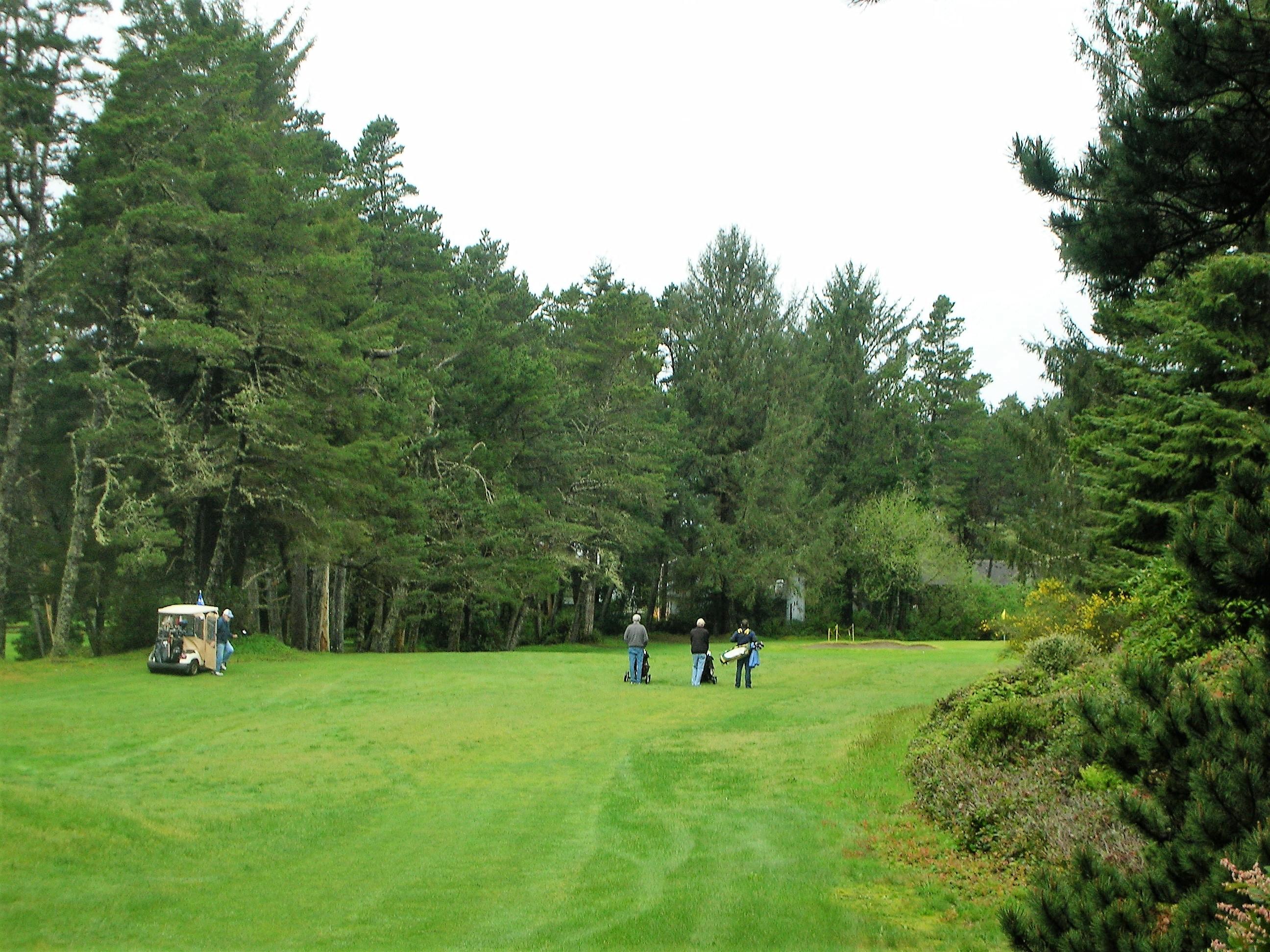 Division Court Manzanita, OR 97130 - Photo 5 of 8 Division Court, Manz Golf Course Lot