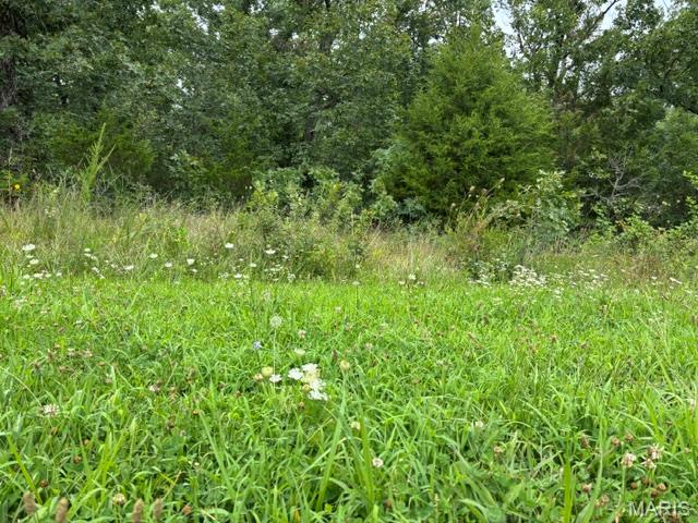 Lot 31 West Hickory Ridge Road Steelville, MO 65565 - Photo 6 of 8 Gallery Image 6