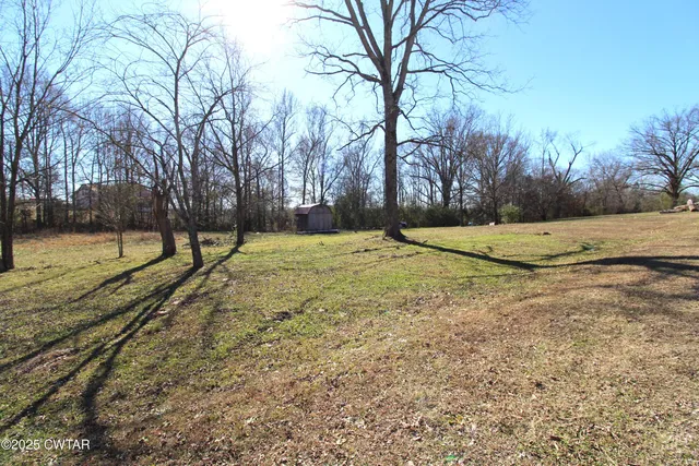 a view of empty space with trees