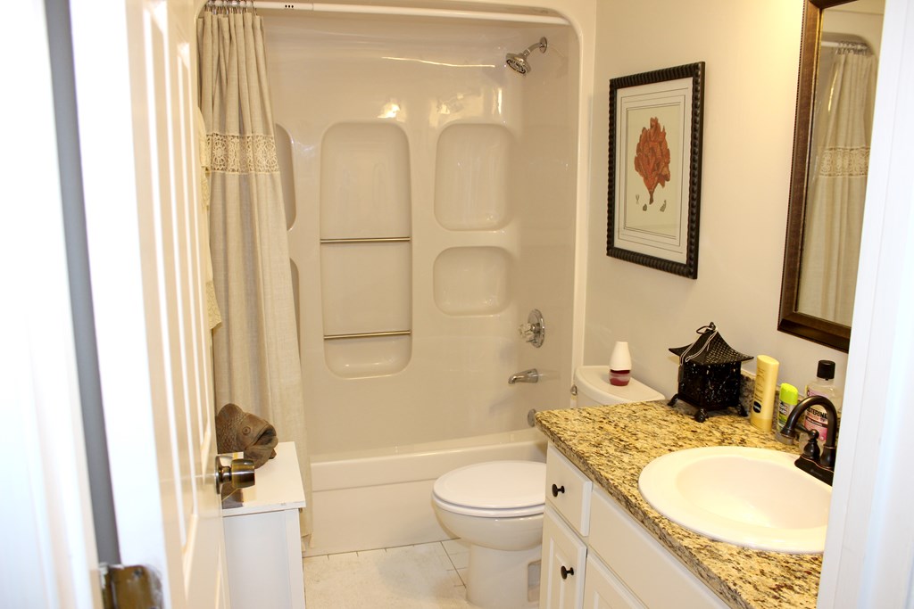 136 Willow Beach Road Ellerslie, GA 31807 - Photo 9 of 22 Gallery Image 9