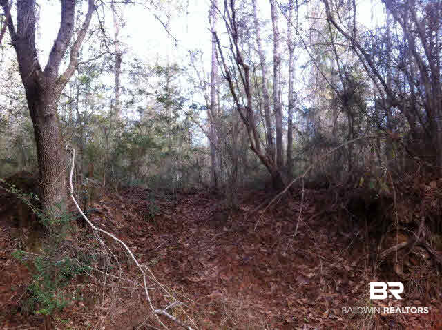 4 Red Cloud Road Baker, FL 32531 - Photo 2 of 15