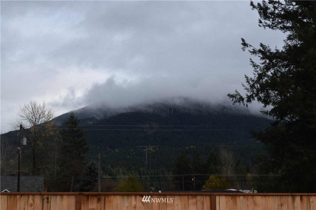 110 Combs Road Packwood, WA 98361 - Photo 11 of 13 Gallery Image 11