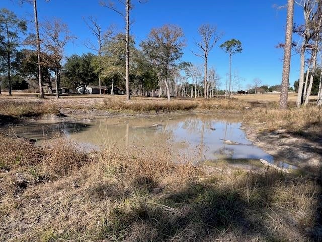 10299 Cravey Bridge Road Florala, AL 36442 - Photo 45 of 50 Gallery Image 45
