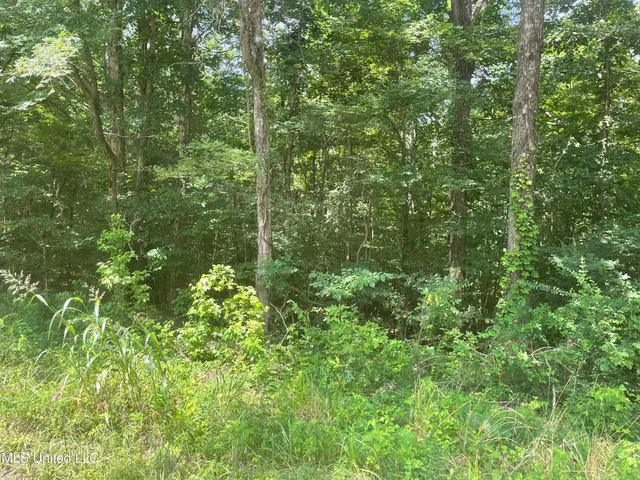 $25,000 | Magnolia Circle, Sarah, MS 38665