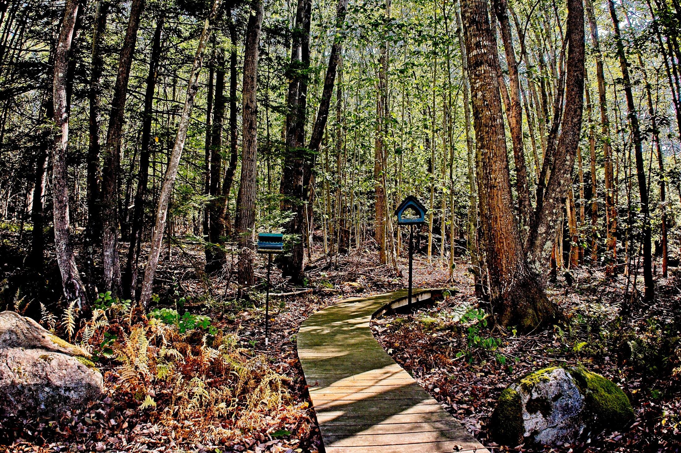 566 Pinkham Brook Road Durham, ME 04222 - Photo 48 of 48 Other