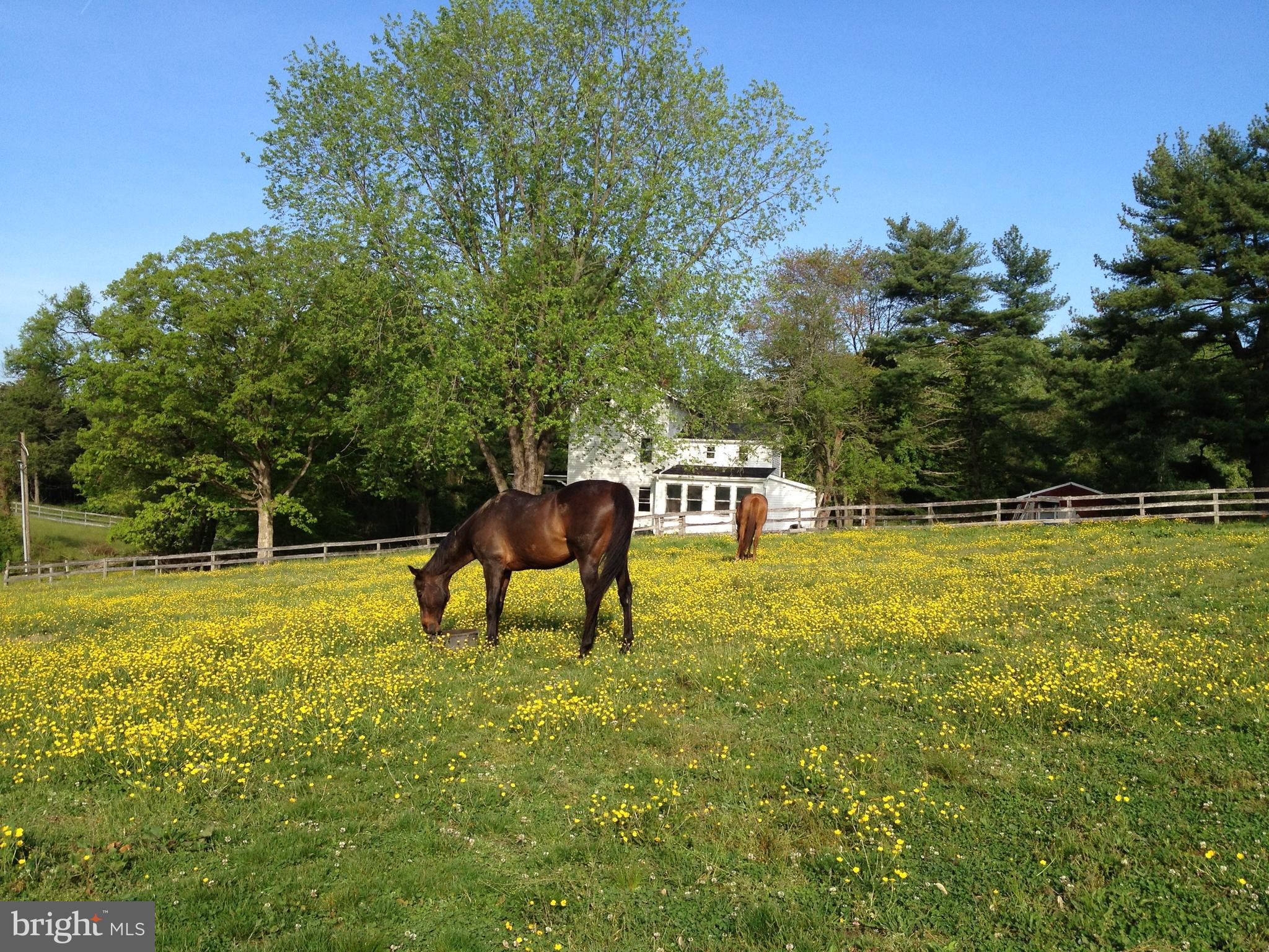 200 Jackson Station Road Perryville, MD 21903 - Photo 4 of 55 Pasture
