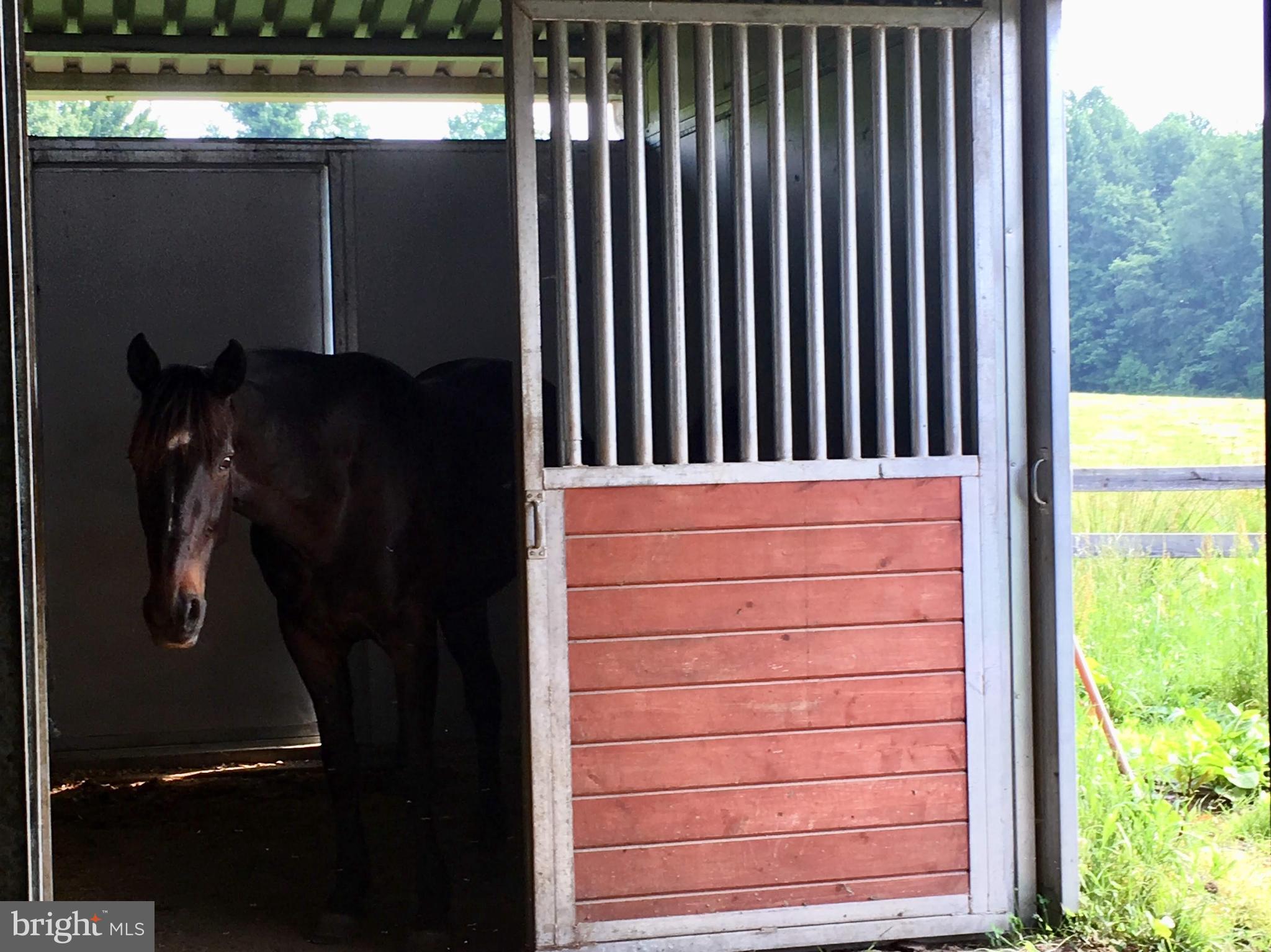 200 Jackson Station Road Perryville, MD 21903 - Photo 45 of 55 Horse stall