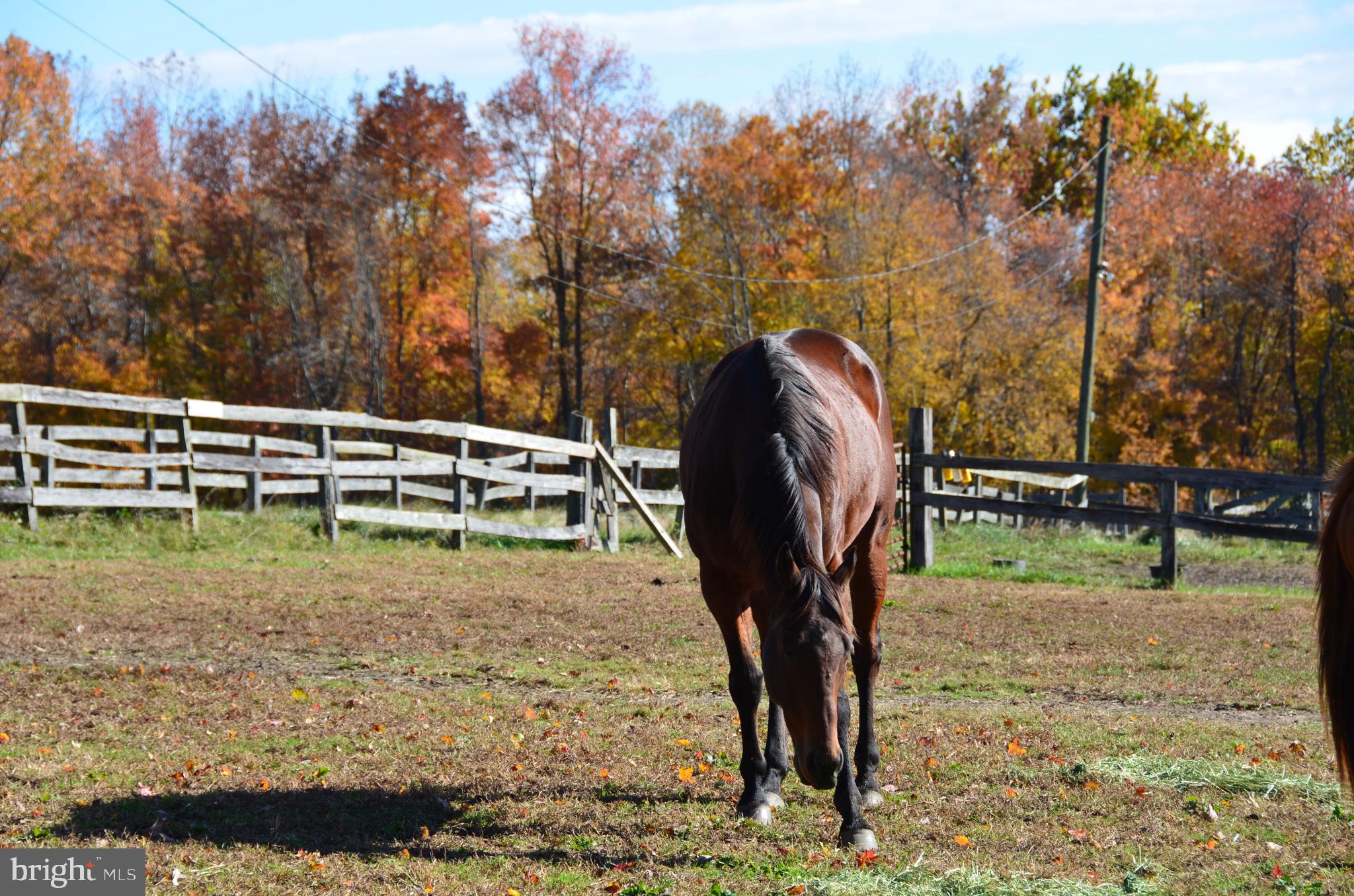 200 Jackson Station Road Perryville, MD 21903 - Photo 49 of 55 Gallery Image 49