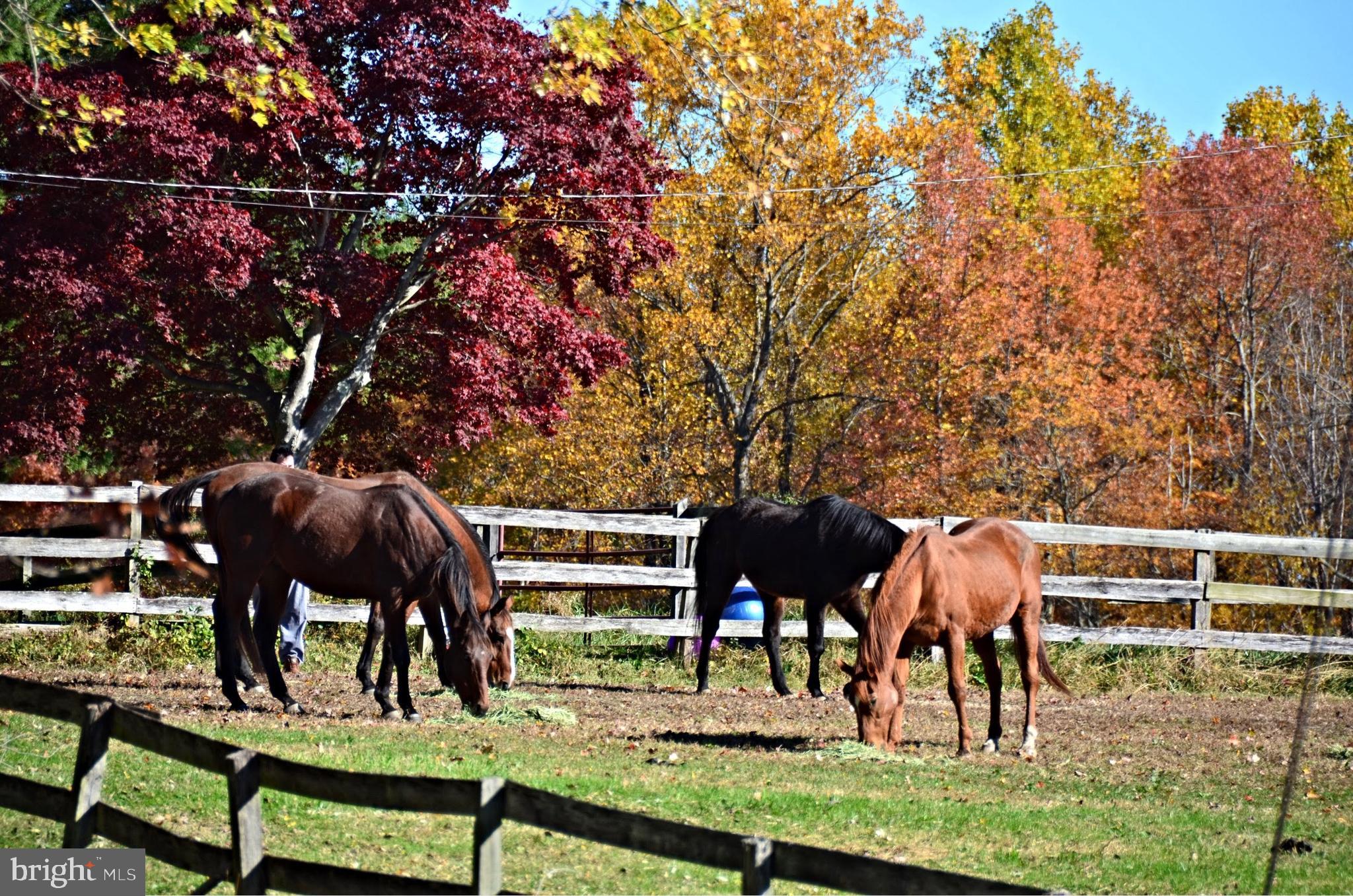 200 Jackson Station Road Perryville, MD 21903 - Photo 50 of 55 Gallery Image 50