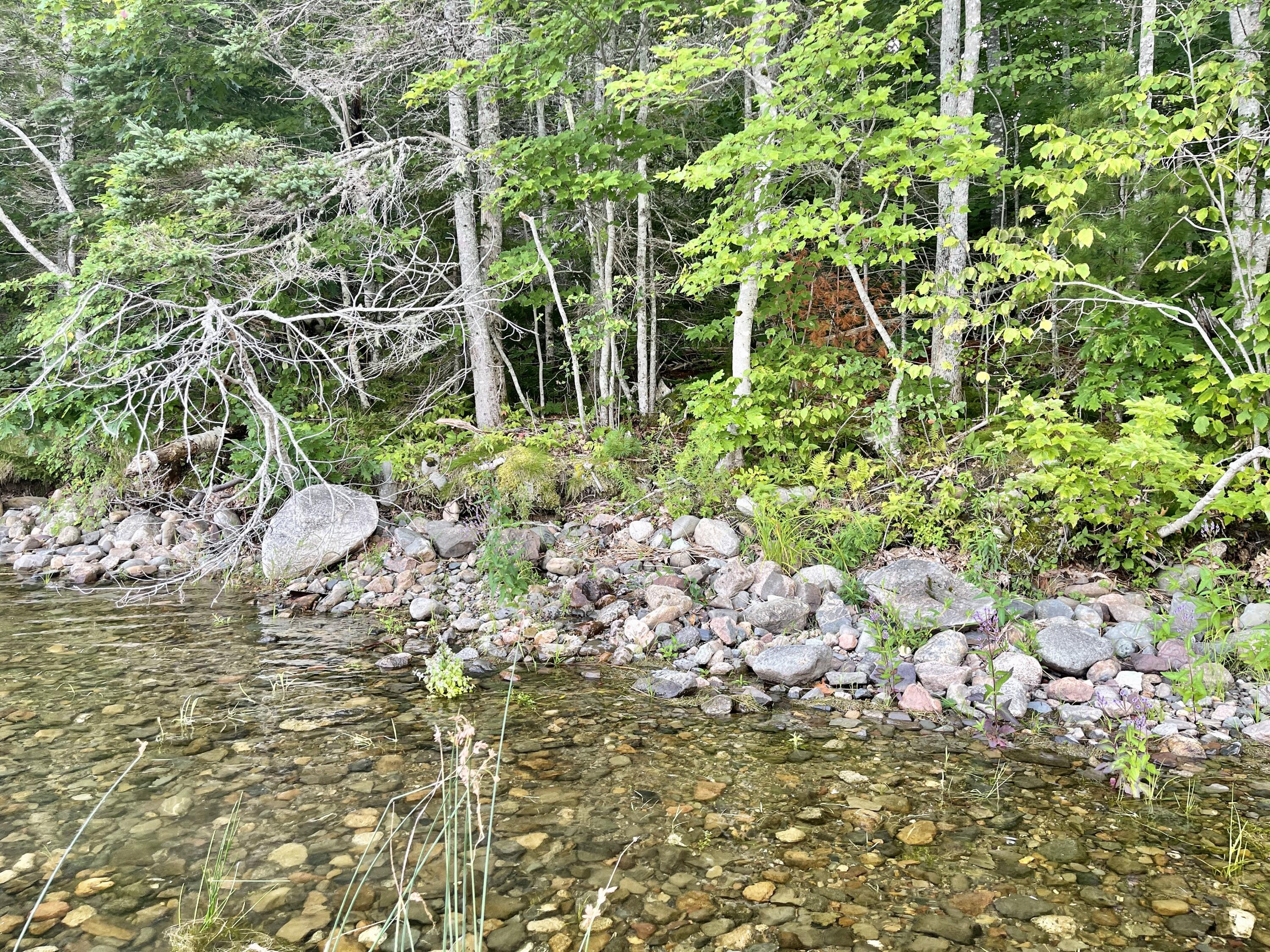 0 Ridge Road Robbinston, ME 04671 - Photo 27 of 35 IMG_7672 2