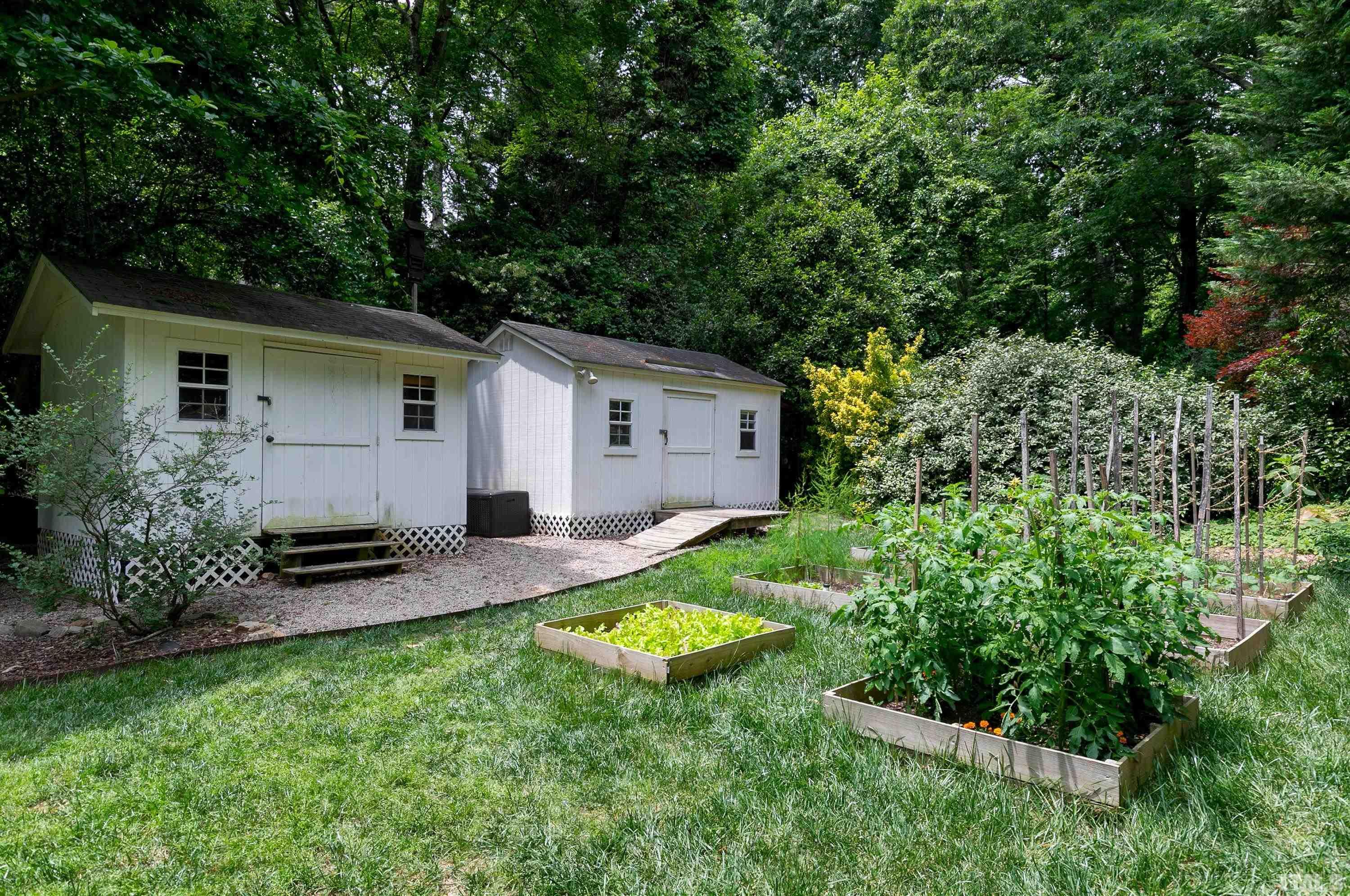 1300 Kingston Ridge Road Cary, NC 27511 - Photo 31 of 40 a view of a backyard with plants and a large tree
