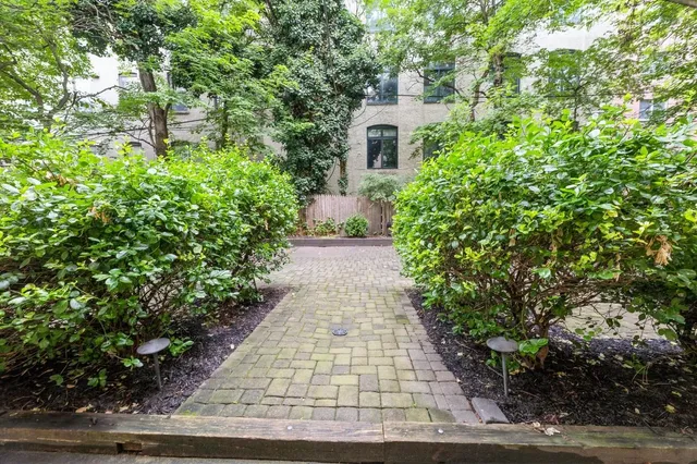 a view of a pathway with a flower plants