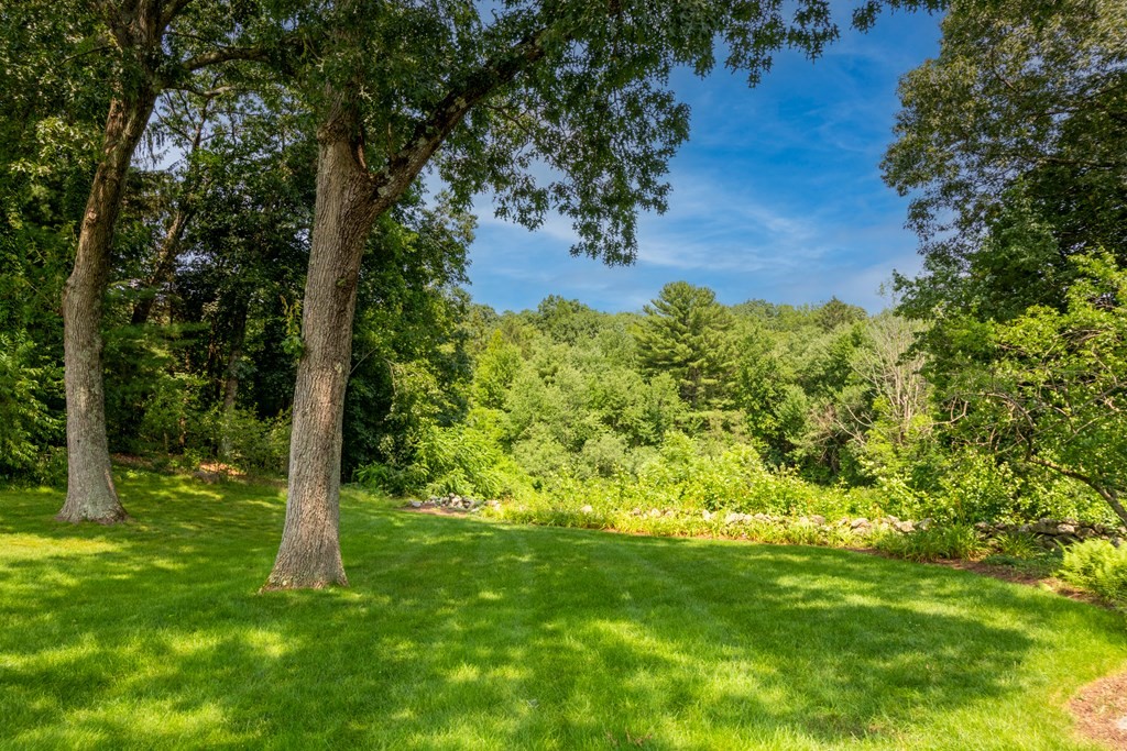 35 Sandy Pond Road Lincoln, MA 01773 - Photo 34 of 40 a view of a garden