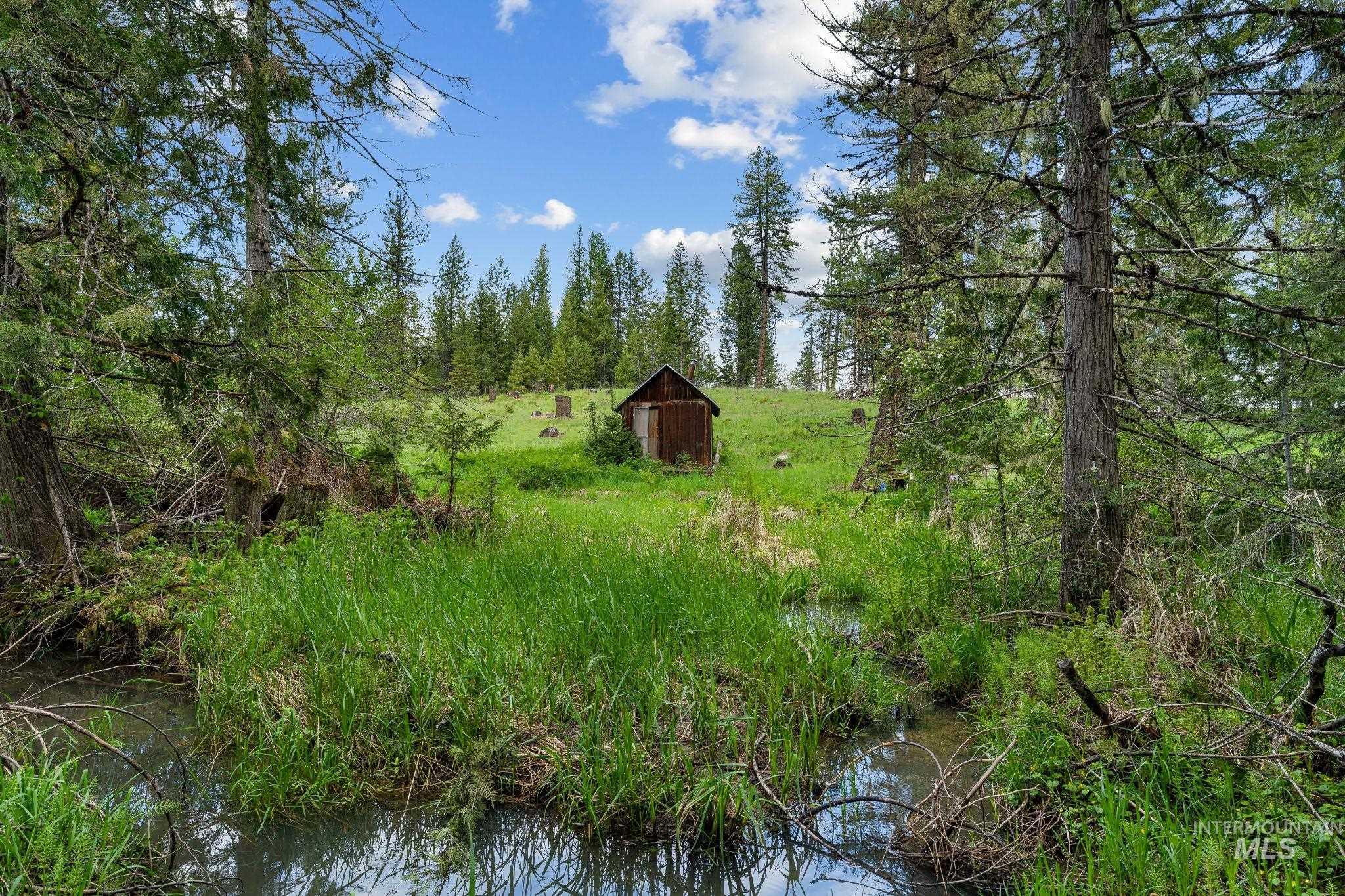 4715 Freeman Creek Road Lenore, ID 83541 - Photo 41 of 50