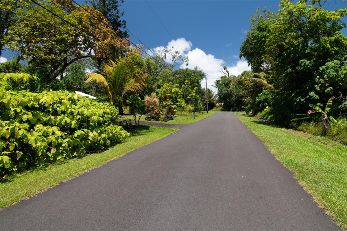 15-175 North Lot 1763 Puni Lapa Loop Pahoa, HI 96778 - Photo 1 of 18 a view of a garden with plants