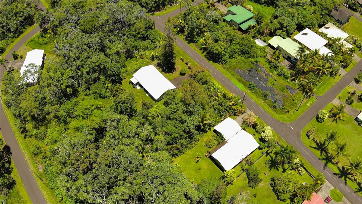 15-175 North Lot 1763 Puni Lapa Loop Pahoa, HI 96778 - Photo 15 of 18 a picture of a tree
