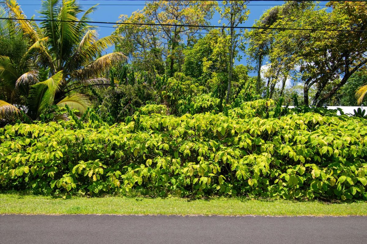 15-175 North Lot 1763 Puni Lapa Loop Pahoa, HI 96778 - Photo 2 of 18 a view of a yard