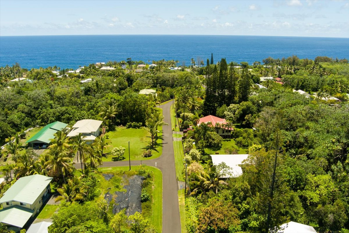 15-175 North Lot 1763 Puni Lapa Loop Pahoa, HI 96778 - Photo 6 of 18 a view of a bunch of plants and trees