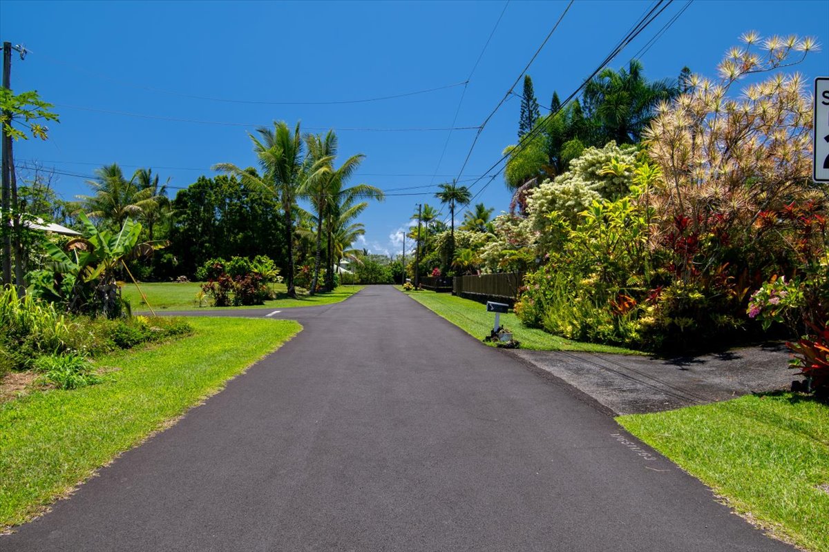15-175 North Lot 1763 Puni Lapa Loop Pahoa, HI 96778 - Photo 9 of 18 a view of a garden with a plant