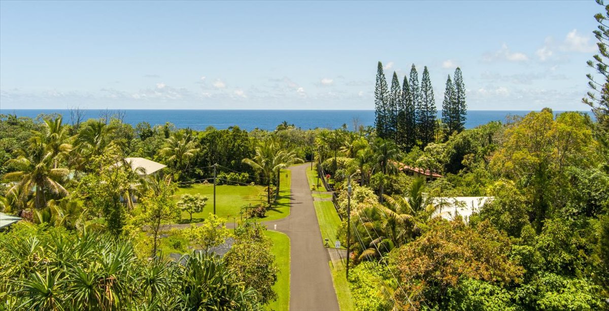 15-175 North Lot 1763 Puni Lapa Loop Pahoa, HI 96778 - Photo 10 of 18 a view of a lake with a building in the background