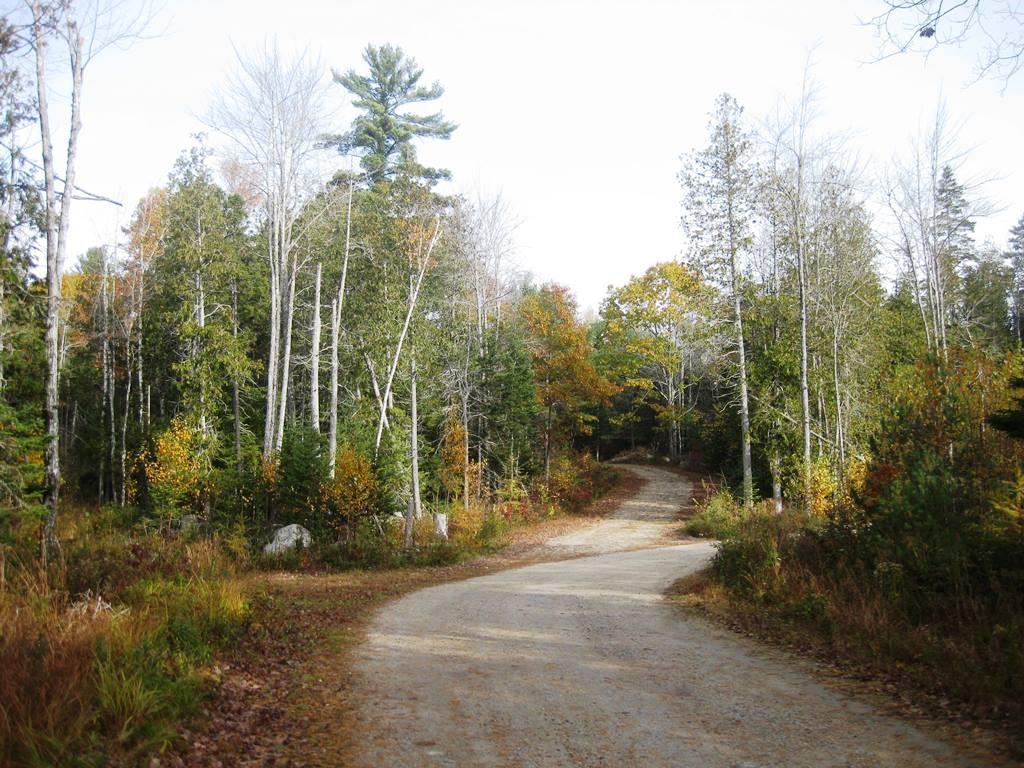 4 Gloria's Way Road Franklin, ME 04634 - Photo 2 of 8 Photo