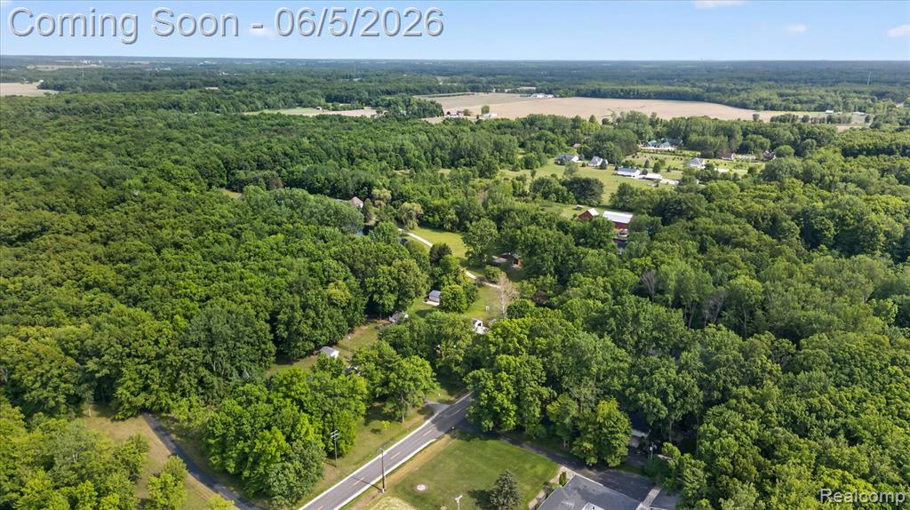 2083 Wells Road Dundee, MI 48131 - Photo 51 of 54