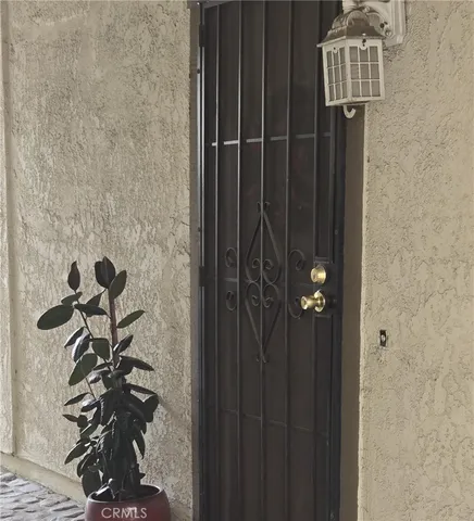 a view of a potted plant