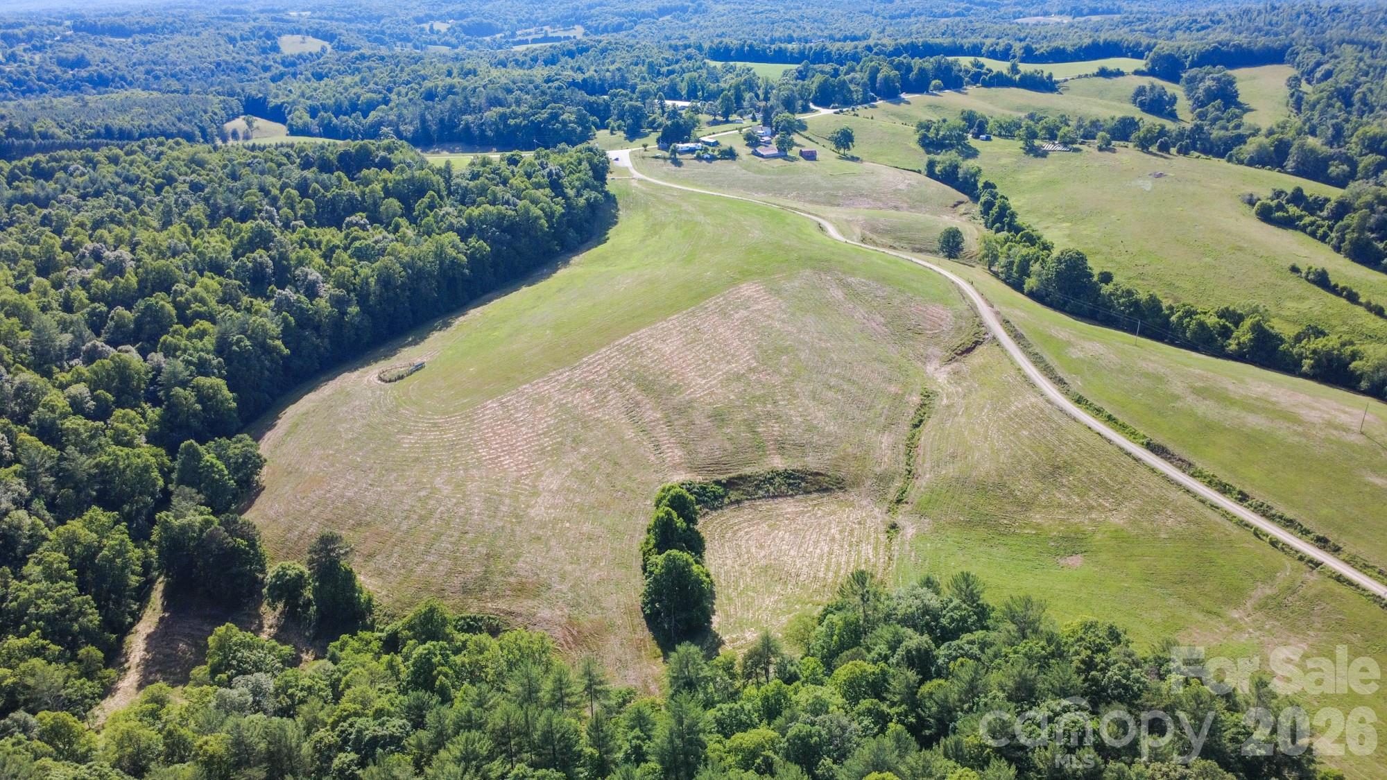 1779 Roundhill Church Road Traphill, NC 28685 - Photo 11 of 42
