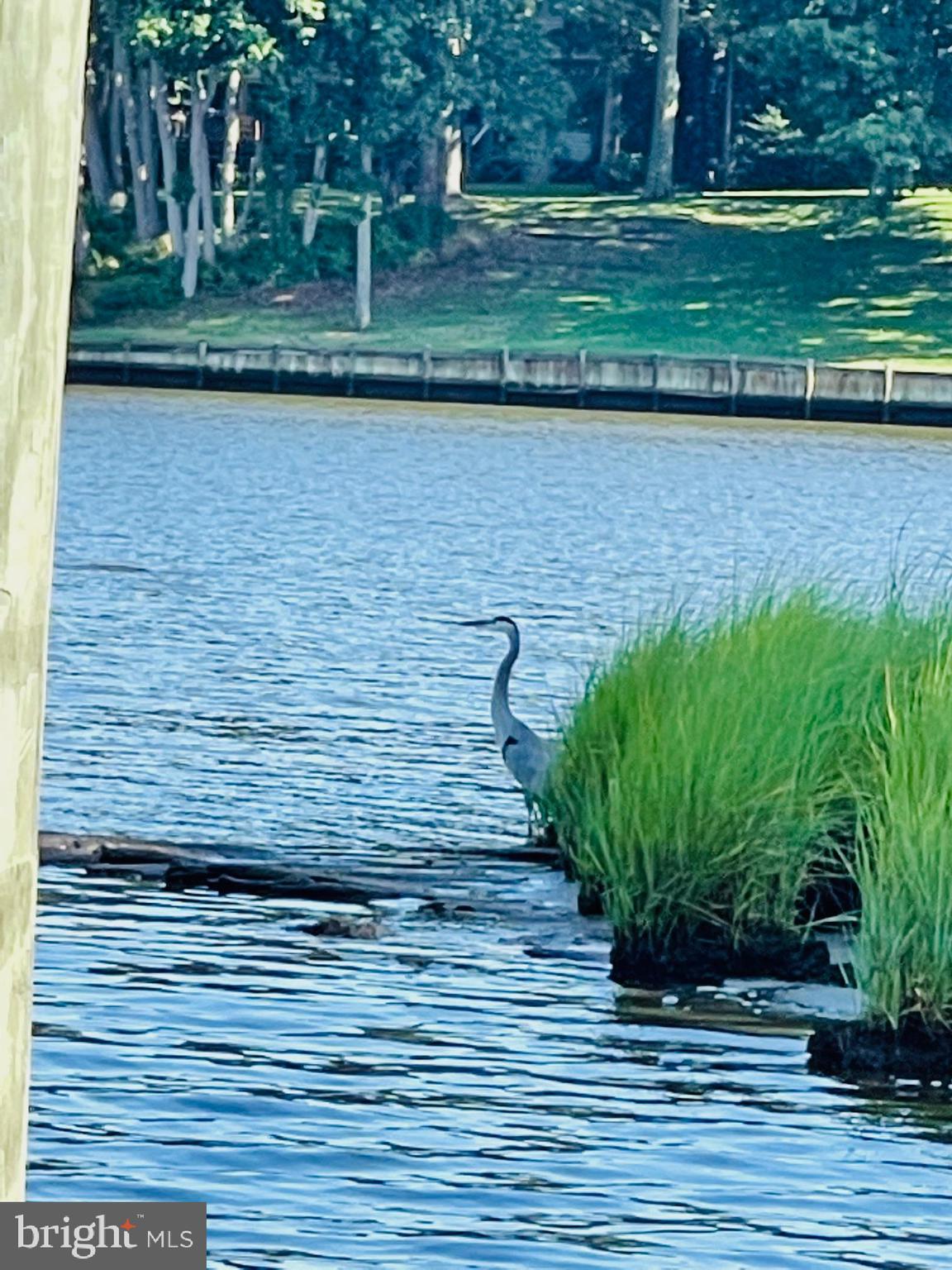 1050 Planters Wharf Road Lusby, MD 20657 - Photo 68 of 100