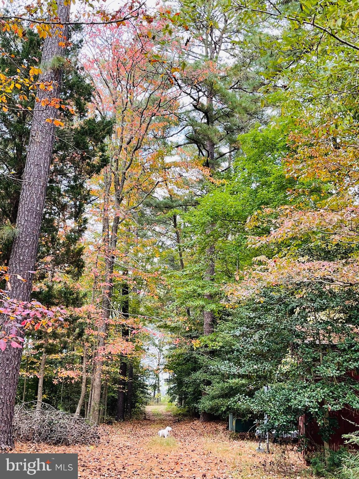 1050 Planters Wharf Road Lusby, MD 20657 - Photo 72 of 100