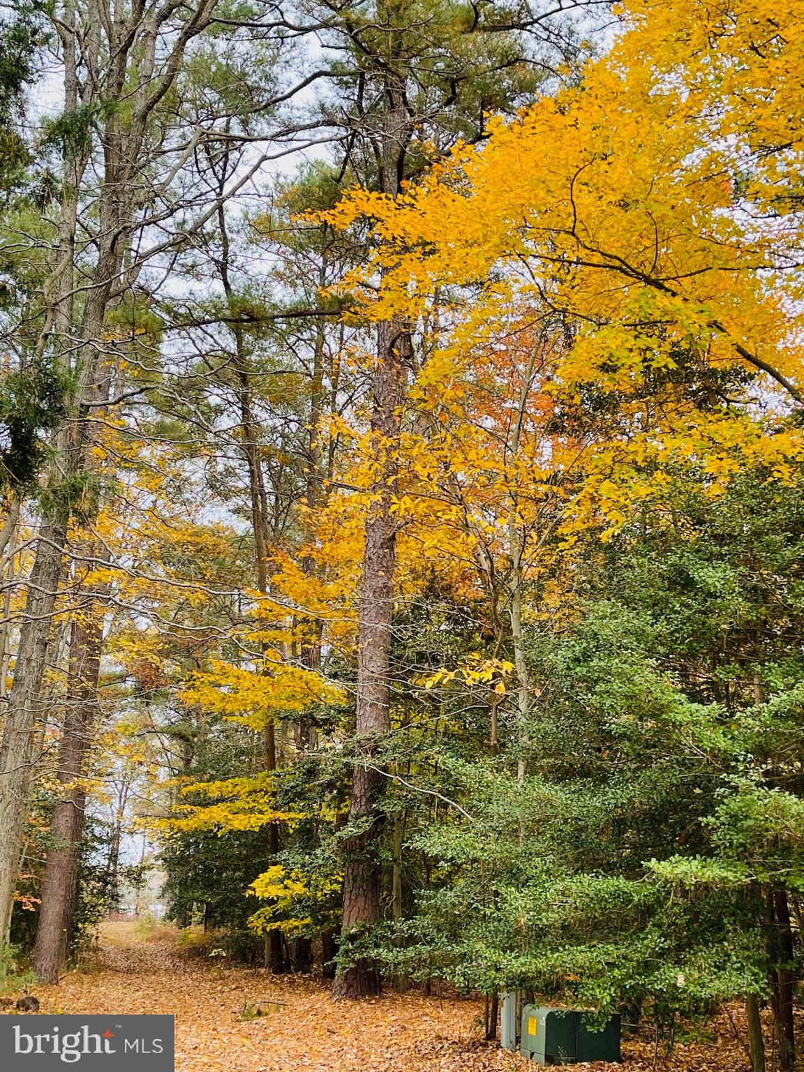 1050 Planters Wharf Road Lusby, MD 20657 - Photo 73 of 100