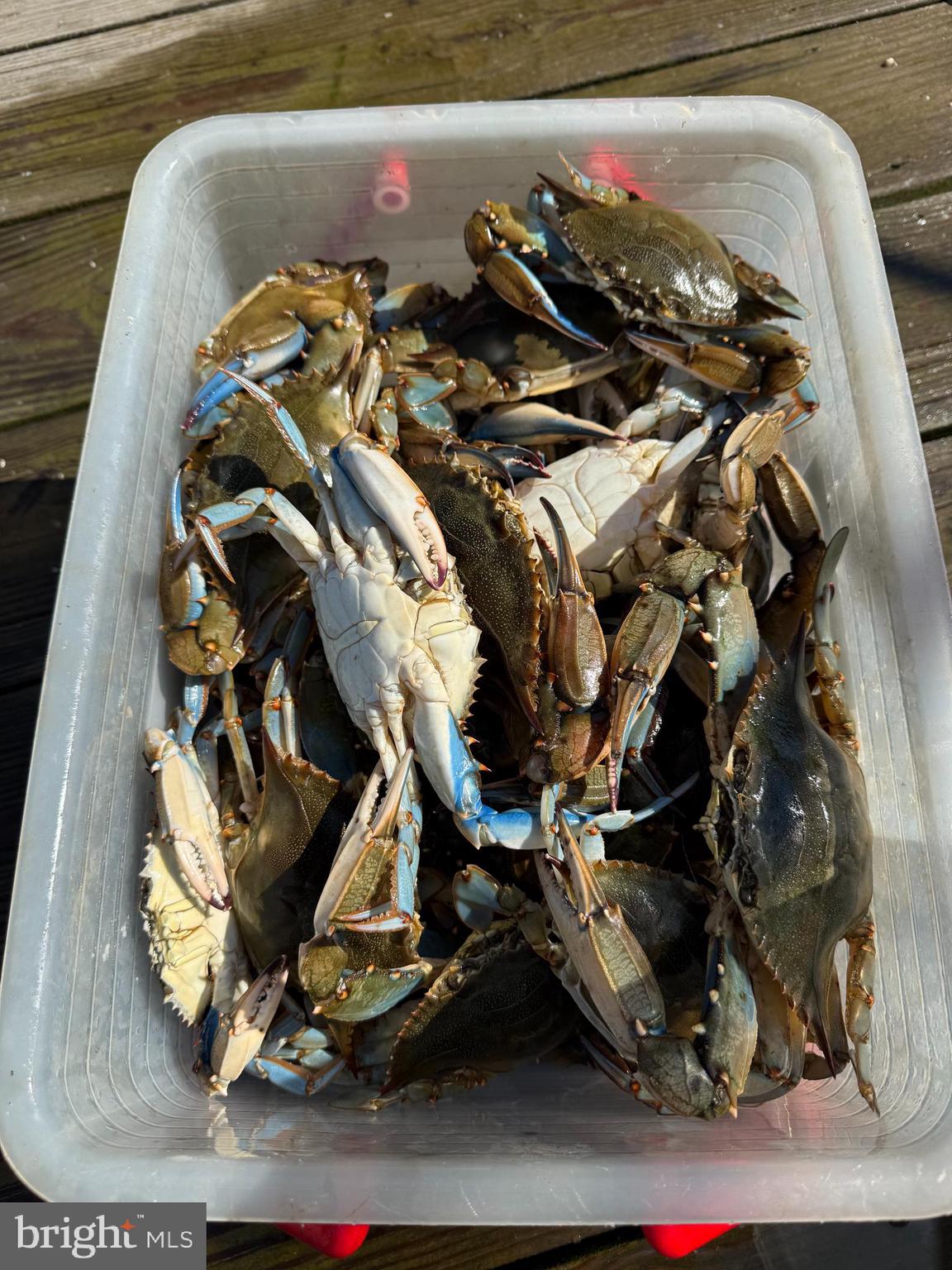 1050 Planters Wharf Road Lusby, MD 20657 - Photo 77 of 100