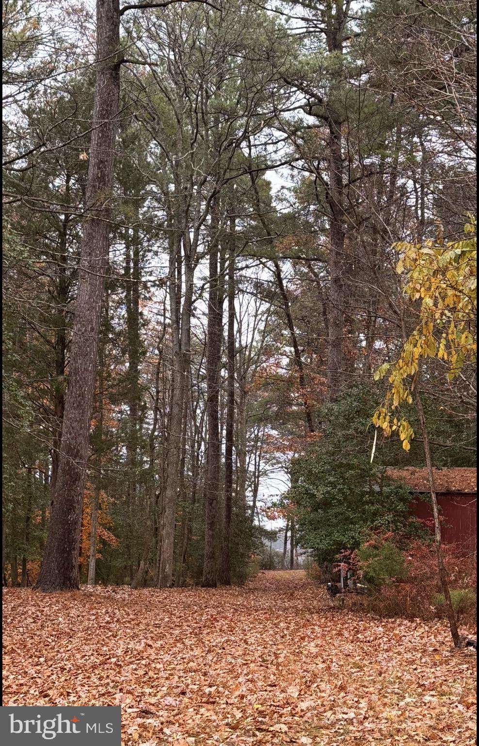 1050 Planters Wharf Road Lusby, MD 20657 - Photo 88 of 100