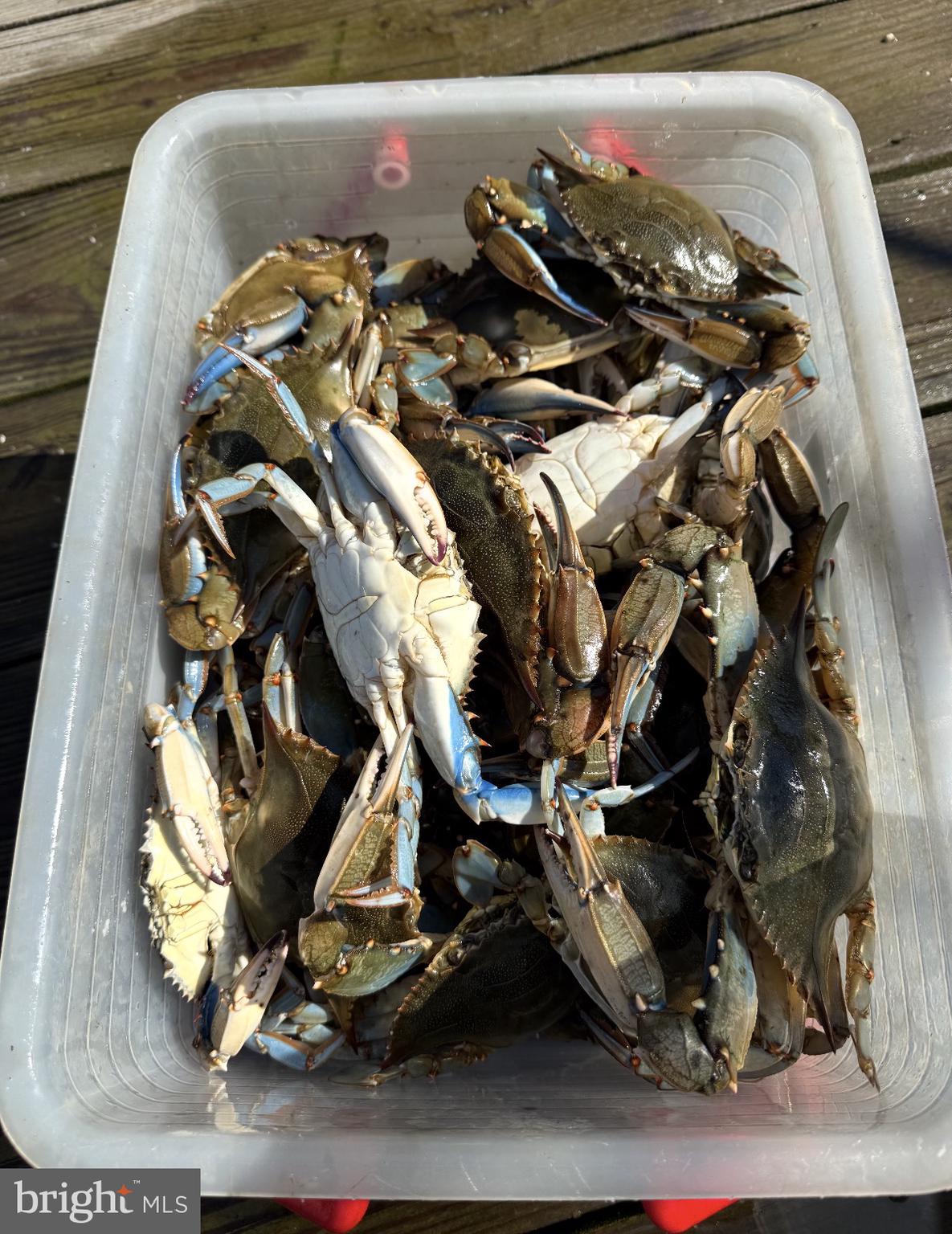 1050 Planters Wharf Road Lusby, MD 20657 - Photo 94 of 100