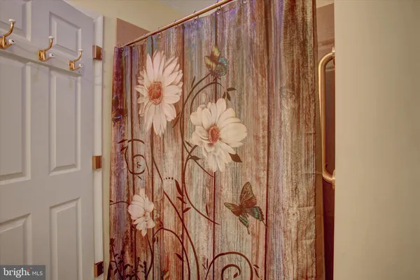 a bathroom with a shower and a shower curtain