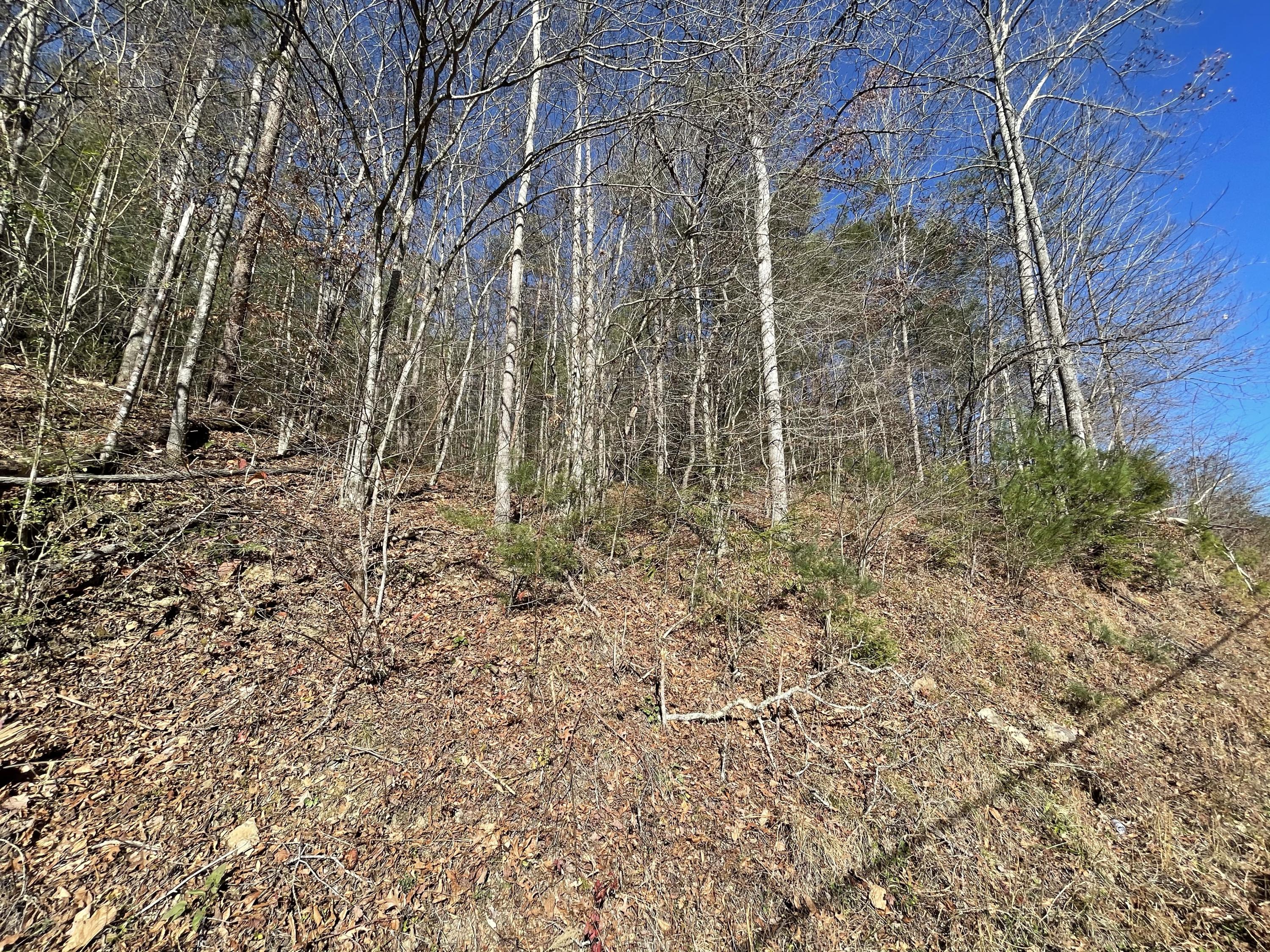 Xx Raven Branch Road Del Rio, TN 37727 - Photo 1 of 1 3