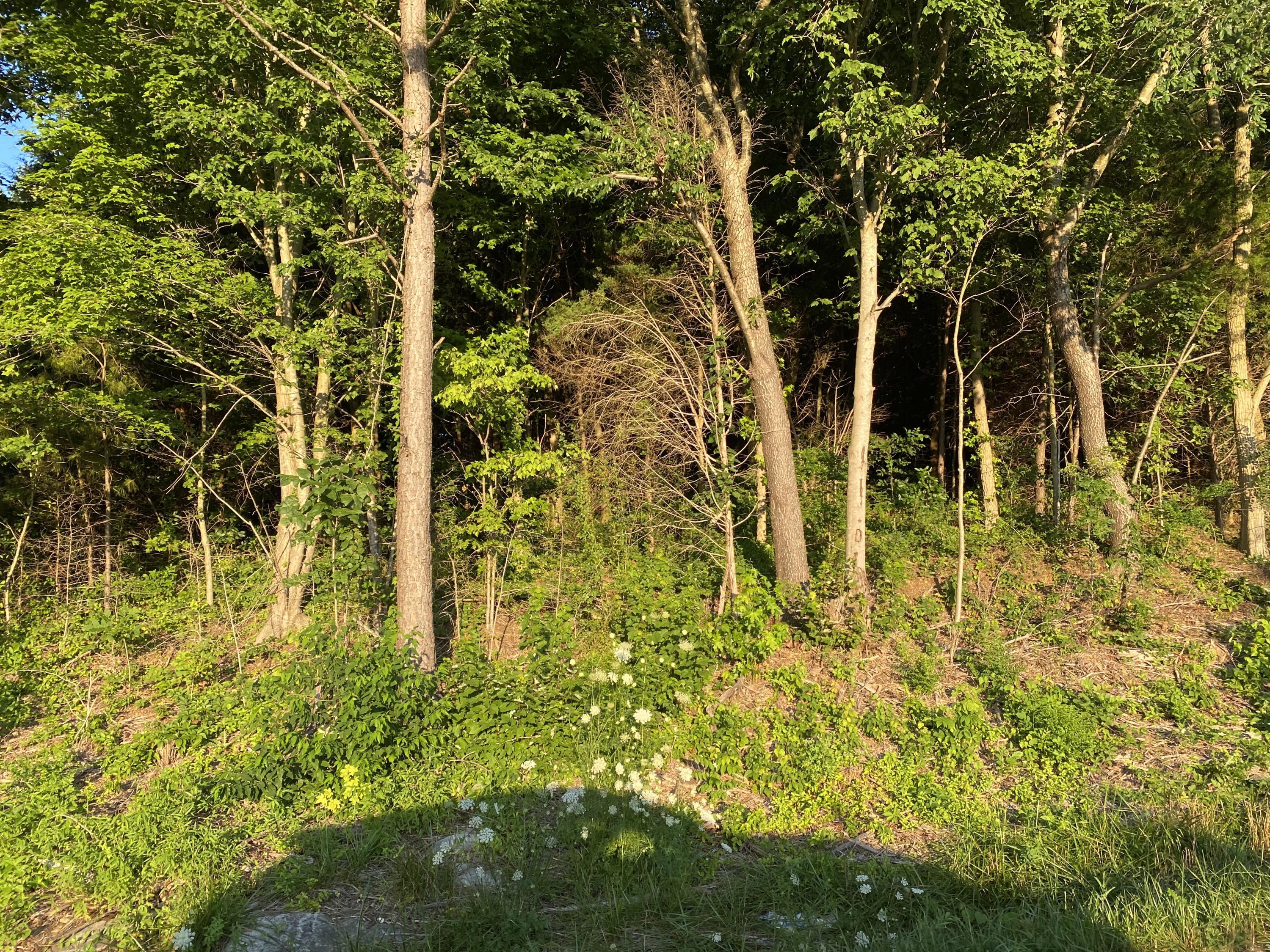 740 Knob Lick Wisdom Road Edmonton, KY 42129 - Photo 1 of 9 Photo Jul 13, 7 13 57 PM
