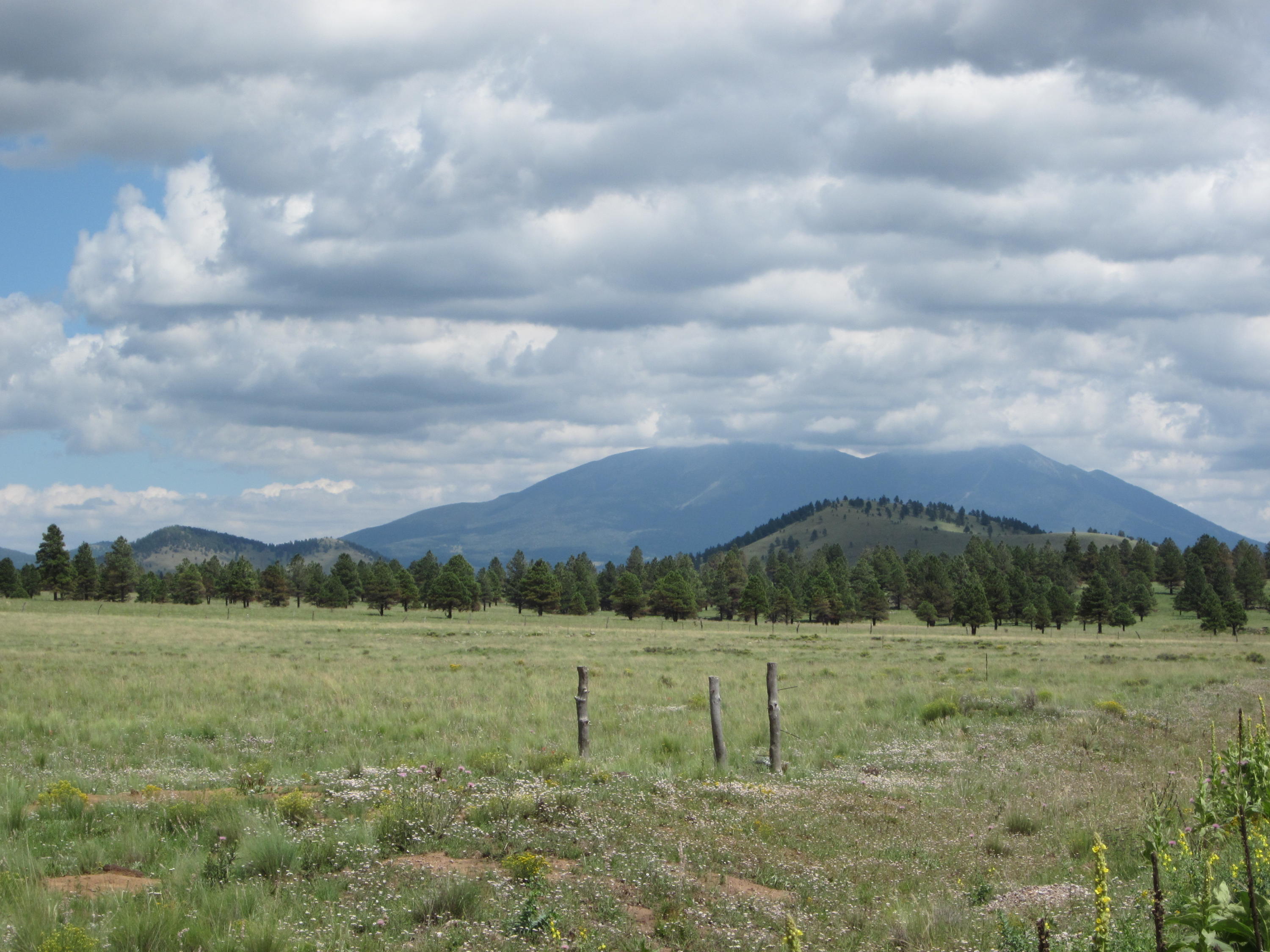3321 North Spring Valley Road East Parks, AZ 86018 - Photo 1 of 10 Great Views