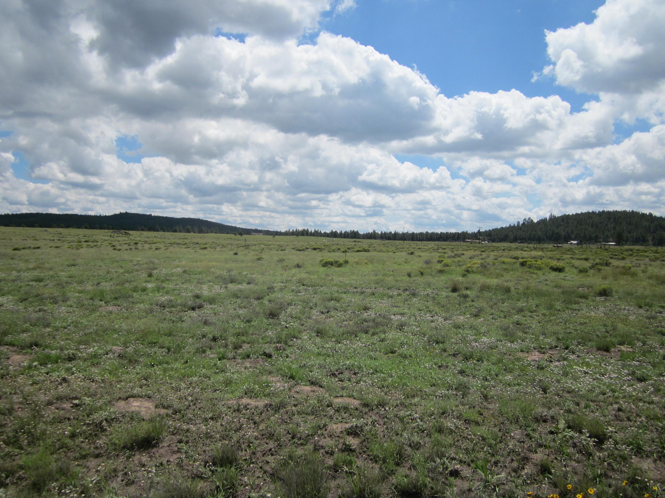 3321 North Spring Valley Road East Parks, AZ 86018 - Photo 2 of 10 lot