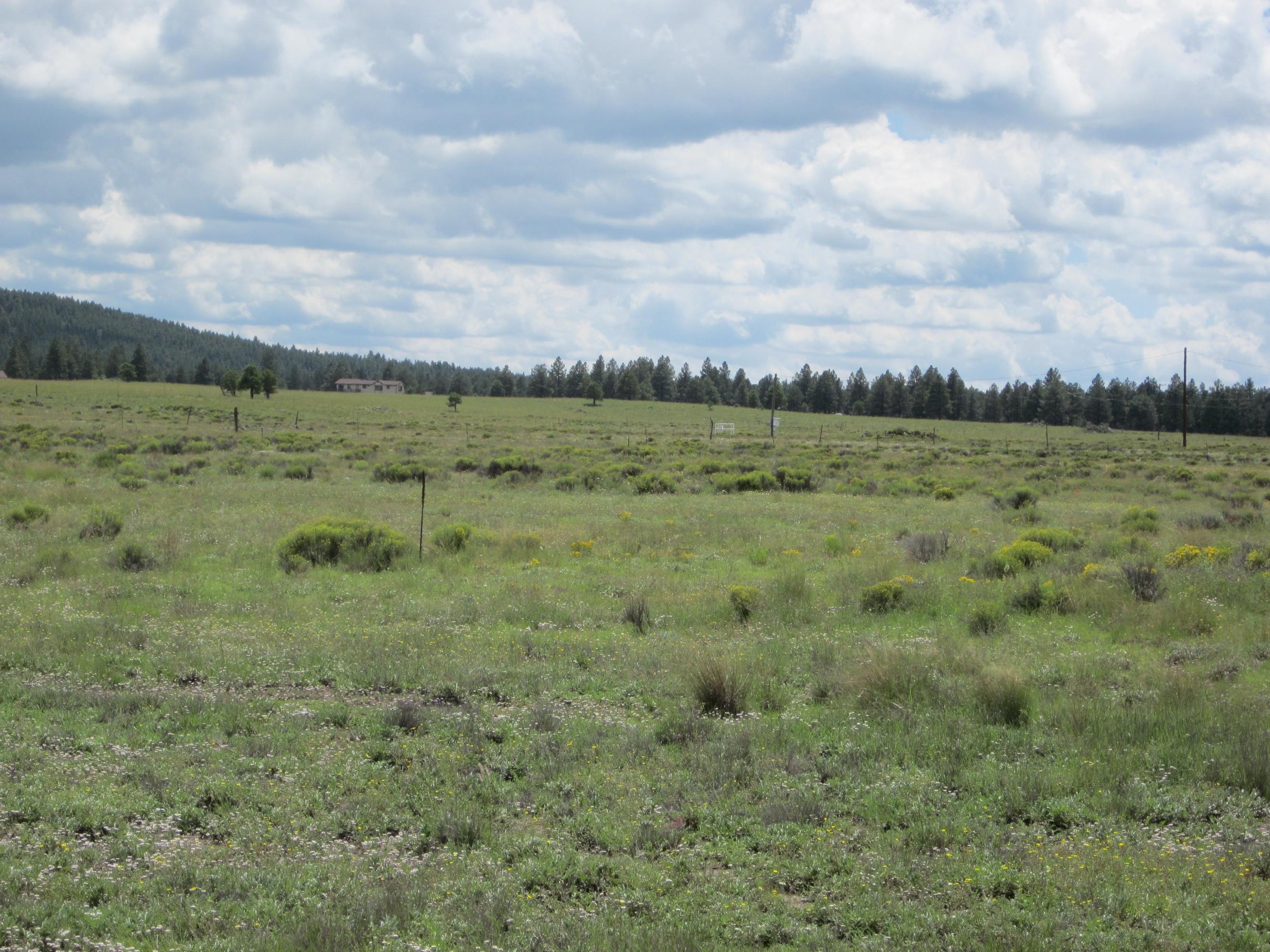 3321 North Spring Valley Road East Parks, AZ 86018 - Photo 4 of 10 lot2