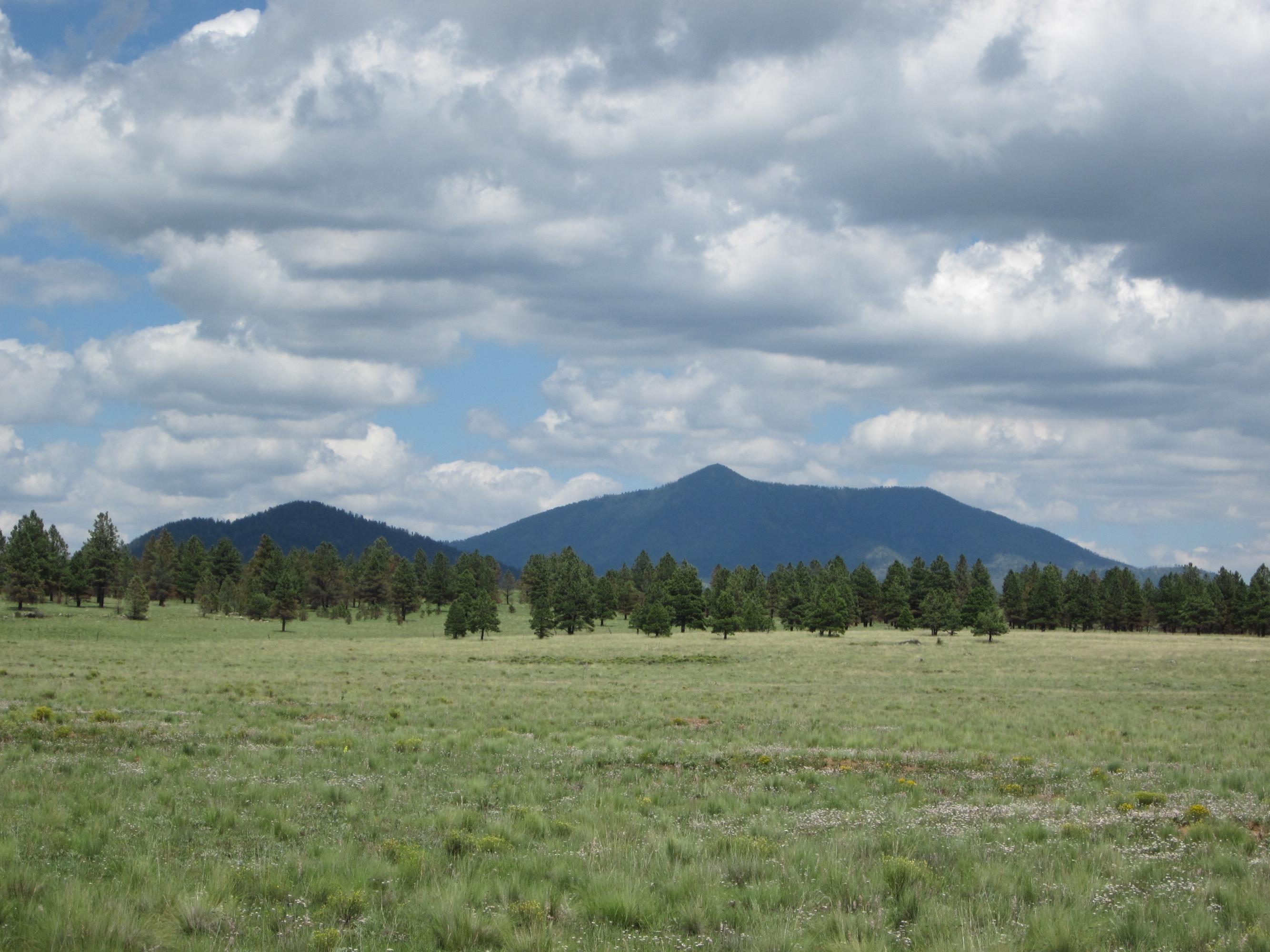 3321 North Spring Valley Road East Parks, AZ 86018 - Photo 7 of 10 view2