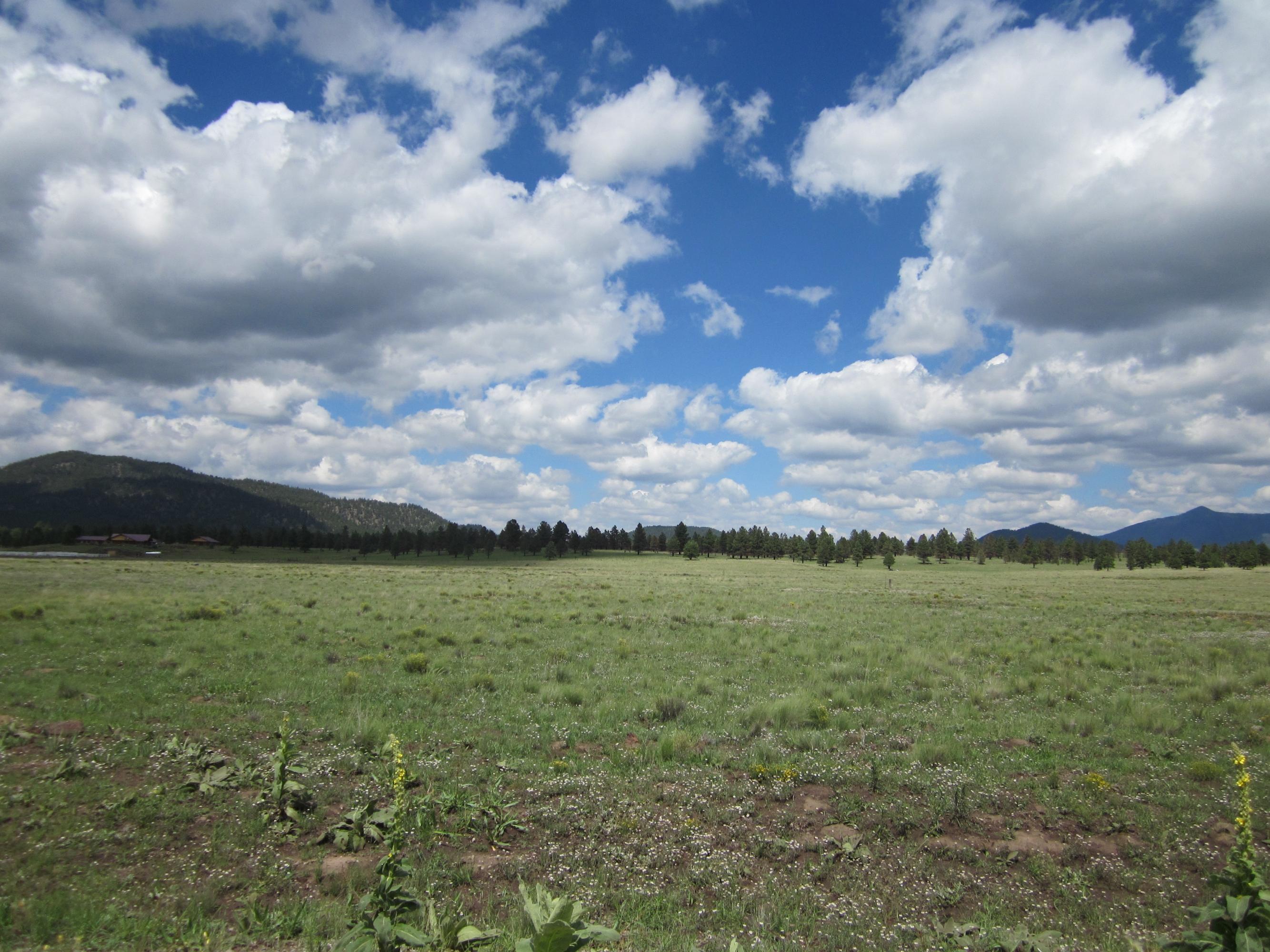 3321 North Spring Valley Road East Parks, AZ 86018 - Photo 8 of 10 view3