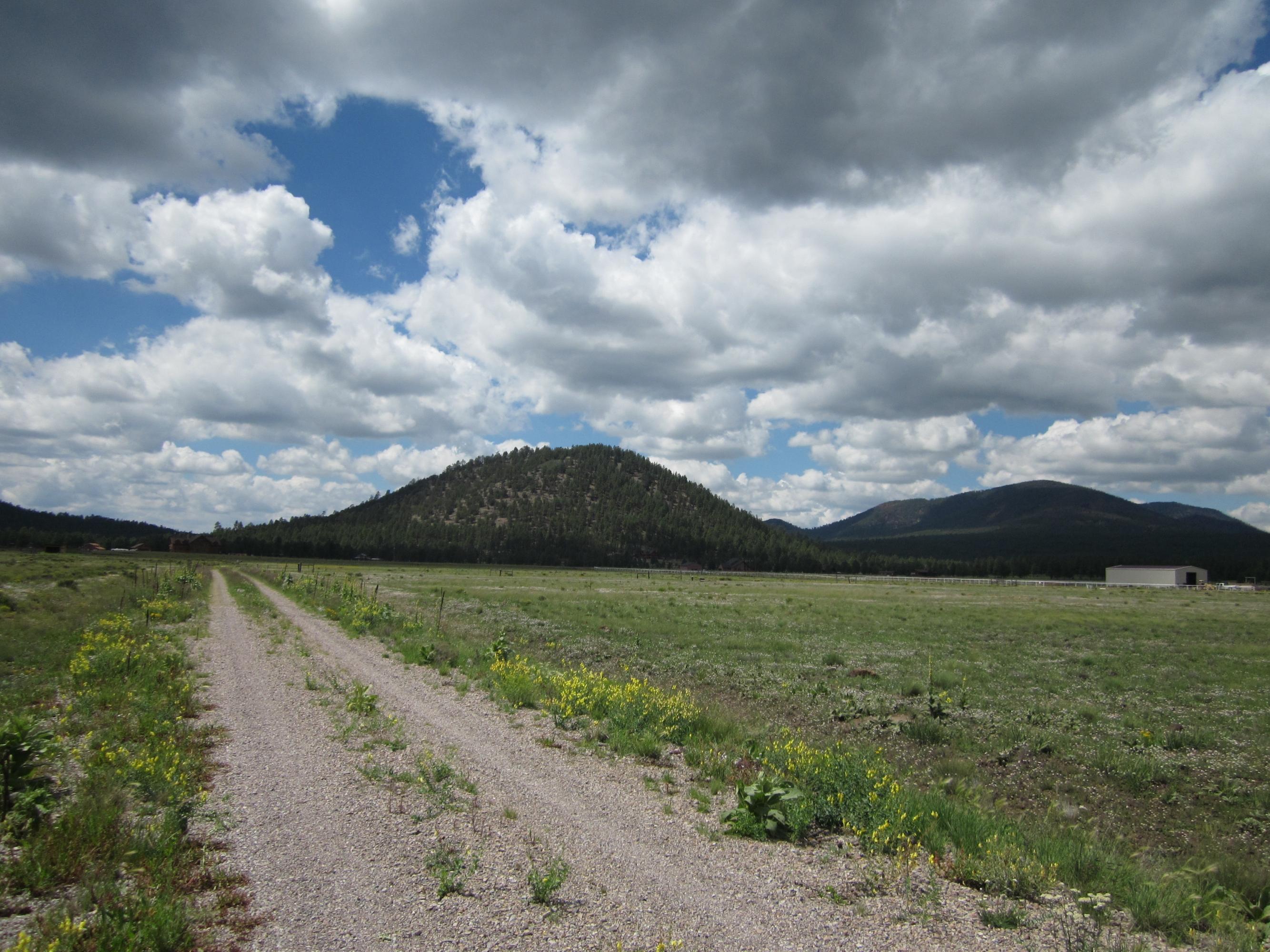 3321 North Spring Valley Road East Parks, AZ 86018 - Photo 9 of 10 view4