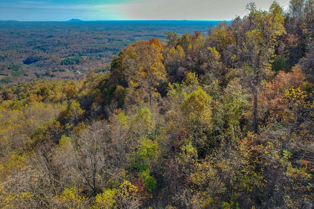 Tbd Tbd Spring Valley Road Fancy Gap, VA 24328 - Photo 24 of 27 Gallery Image 24