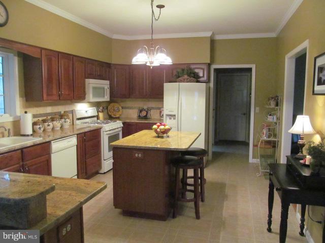 32001 Flowers Road Queen Anne, MD 21657 - Photo 11 of 30 Kitchen
