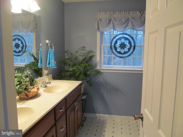 32001 Flowers Road Queen Anne, MD 21657 - Photo 18 of 30 Bath (Master)