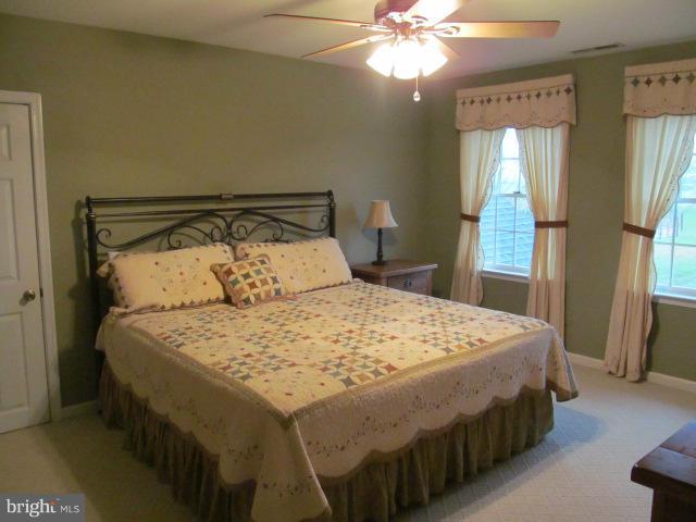 32001 Flowers Road Queen Anne, MD 21657 - Photo 19 of 30 Bedroom (Master)