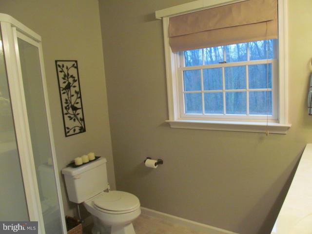 32001 Flowers Road Queen Anne, MD 21657 - Photo 23 of 30 Bath (Master)